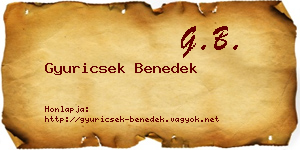 Gyuricsek Benedek névjegykártya
