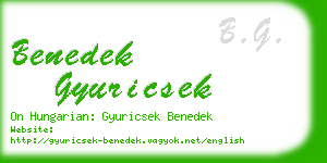 benedek gyuricsek business card